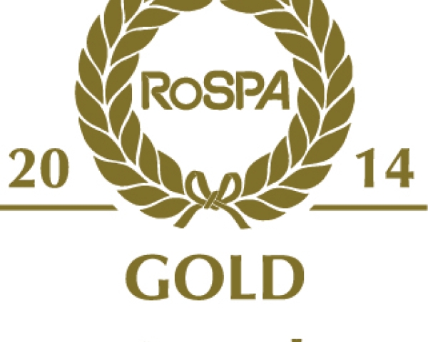 gold award 2014.jpg