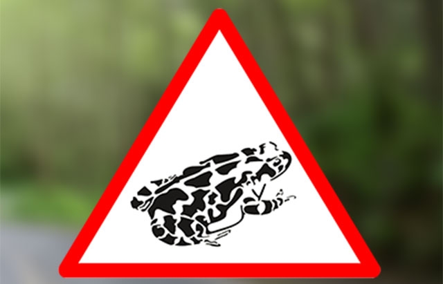 Toad-sign_web.jpg